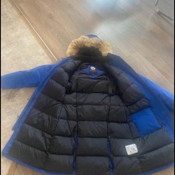 Canada goose - Picture 3 of 4